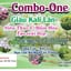 Combo-One