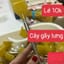 Cây gãi lưng (ý 5)