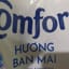Xả Comfort Hương Ban Mai 3,1L