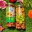 Bánh gấu mix 3 vị