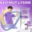 Kẹo mút Lysine