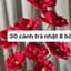 Trà nhật 8 bông
