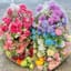 Bịch 50 nhánh tú cầu mix màu