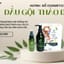 COMBO DẦU GỘI THẢO DƯợC.